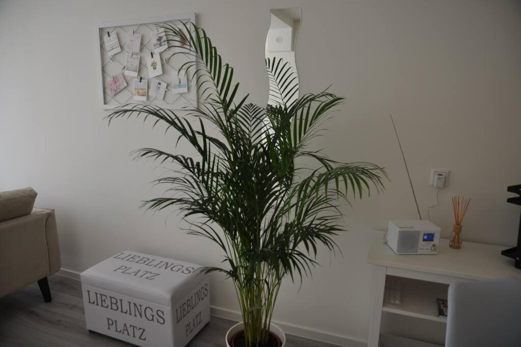 Lieblingsplatz Apartement Am Steinhuder Meer วุนสตอร์ฟ ภายนอก รูปภาพ